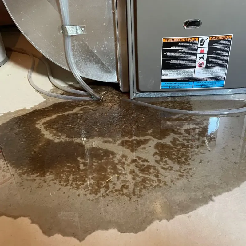 Pipe Burst and Leak Restoration in State College, PA